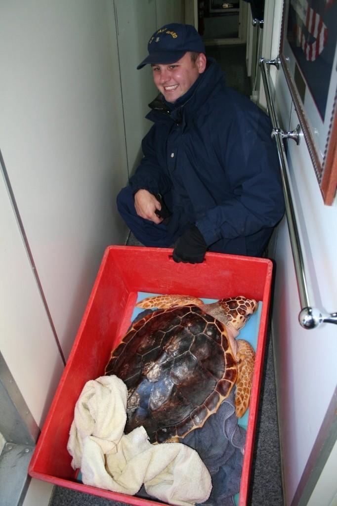 Gumby, the 100th Release