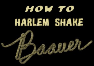 harlemshake