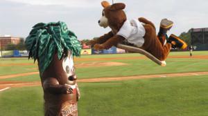 Credit: Charleston RiverDogs