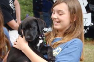 Credit: http://lowcountrydog.wordpress.com