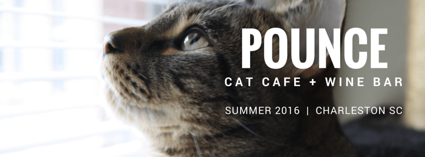 12190863_1640597052881578_4872032218440047485_n